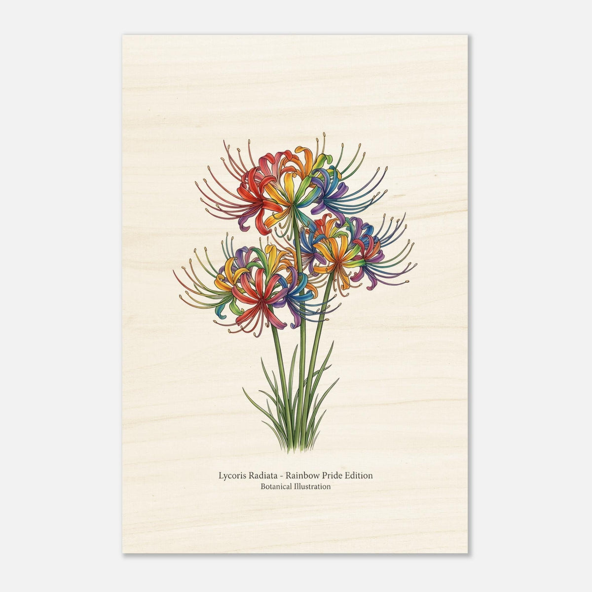 Impression botanique sur bois Lycoris Radiata "Fleur de la Mort", illustration arc-en-ciel Pride