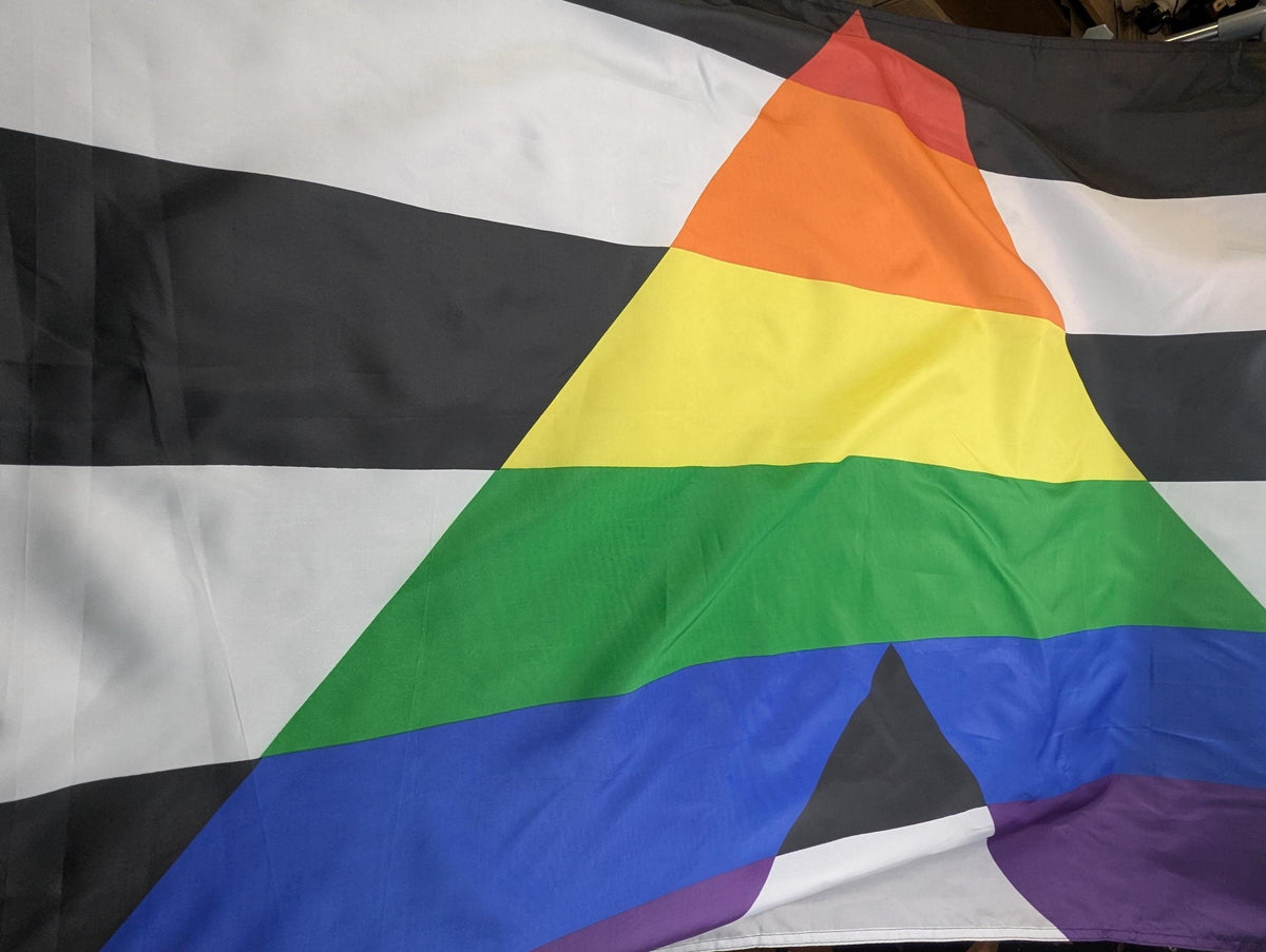 Grand drapeau Allié LGBT 150cm, tissu avec œillets métal, rectangle